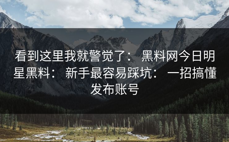 看到这里我就警觉了： 黑料网今日明星黑料： 新手最容易踩坑： 一招搞懂发布账号